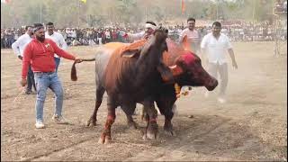 RAMA 2 Akot vs BAKHTAWAR Nagpur shandaar takkar yevatmal turnament [upl. by Autum]