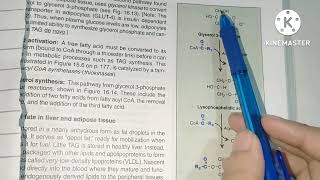 Phospholipid synthesis Lippincott made easy with concepts 👍 [upl. by Vasiliki302]