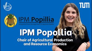 IPM Popillia Project  TUM  Chair of Agricultural Production and Resource Economics [upl. by Nyhagen493]