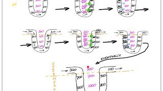 7N Urinary Countercurrent Mechanism [upl. by Tterraj]