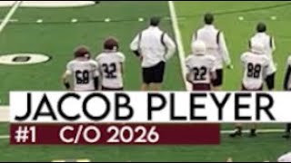 Jacob Pleyer Class of 2026 QB 1 Watervliet Highlights 2021 [upl. by Kenweigh389]