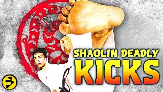 SHAOLIN DEADLY KICKS  Classic Hong Kong Martial Arts Action  Full Movie  FilmIsNowAction [upl. by Worthington210]