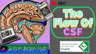 The Flow of CSF and Pathologies [upl. by Therese126]