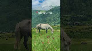 Dhorpatanone of the most popular place in western Nepal 🇳🇵 travel visitnepalvideo by sajjanraj [upl. by Ymor]