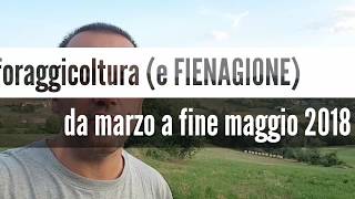 Foraggicoltura 2018 da marzo a fine maggio [upl. by Hubing]