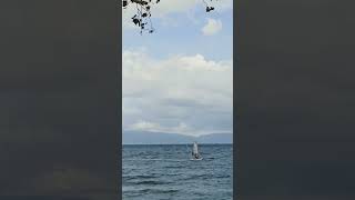 WINDSURFING winding seaview [upl. by Acilegna]