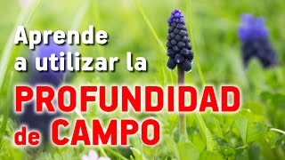 Aprende a utilizar la PROFUNDIDAD DE CAMPO [upl. by Vial450]