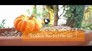 Schöne Herbstferien [upl. by Tiena878]