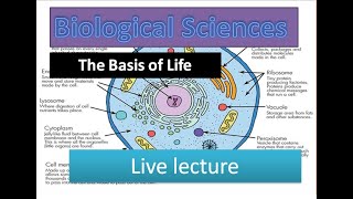 The Basis of Life  Cell Structures and FunctionsSubcellular Organelles like Nucleus Mitochondria [upl. by Annawal781]