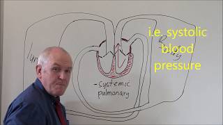 Heart 3 Pulmonary and Systemic circulation [upl. by Edmee90]