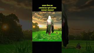 হযরত ঈসা আলাইহিস সালাম এর কাহিনী। hazrat isa ali salam ka waqia shorts history ytshorts [upl. by Backer]