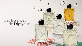 5 NEW Diptyque Fragrances  Les Essences Collection  Impressions  Overview [upl. by Marge155]