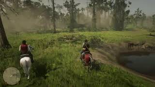 Red Dead Redemption 2 LOW HONOR RUN [upl. by Grewitz]