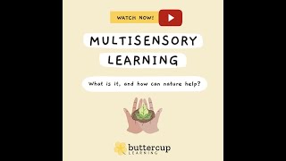 Multisensory Learning [upl. by Gaylord669]