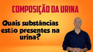 Composição da urina Quais substâncias estão presentes na urina [upl. by Etnovert]