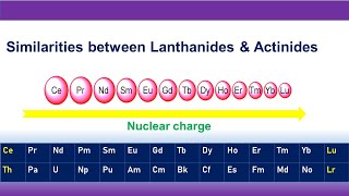 Similarities between Lanthanides amp Actinides [upl. by Ayotl]