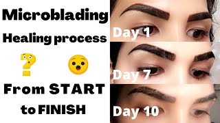 Microblading healing process from start to finish  Eyebrows experience  VLOG [upl. by Ahsitniuq]