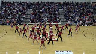 DCHS Drill Team performs Tudo Bom at Pep Assembly [upl. by Yrrak174]