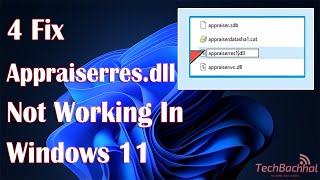 Fixing Appraiserdll Error in Windows 11 A StepbyStep Guide [upl. by Alisa]