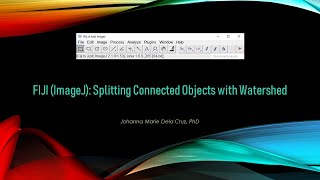 FIJI ImageJ Splitting Connected Objects with Watershed [upl. by Grof611]