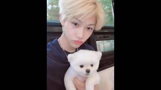 Yalanci straykids felix kpop itzy midzy kesfet StrayKids NIXMONS [upl. by Leasa575]