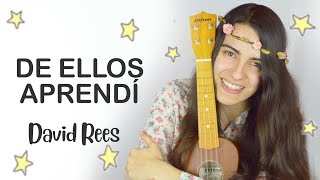 De ellos aprendí  David Rees cover [upl. by Sartin381]