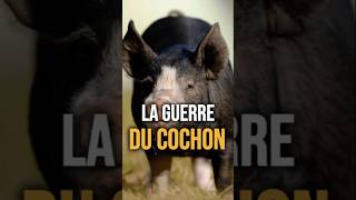 Comment un cochon a faillit déclencher une guerre  war fyp histoire pourtoi [upl. by Enelav]