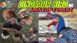 IBON MUKANG DINOSAUR  Top 11 Strange Birds of Amazon Jungle [upl. by Herwin]