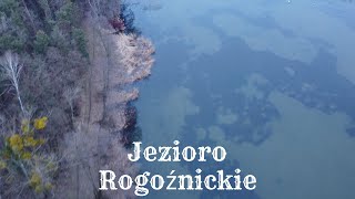 Jezioro Rogoźnickie skleroza  dron i Romet Boreas  Vlog 163 [upl. by Eelyam494]