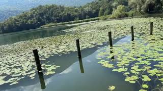 CiaoComo in provincia a Carlazzo visita al Lago del Piano e la sua bellissima riserva naturale [upl. by Christan471]