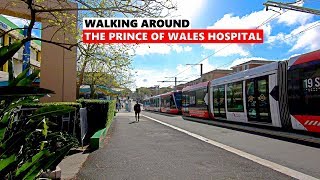 Walking Around PRINCE OF WALES HOSPITAL Randwick  Sydney Australia [upl. by Adnaloy]