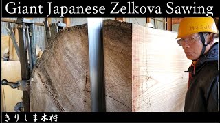 ＃1【製材】欅keyaki 巨木 推定樹齢200年 Giant Japanese Zelkova Sawing [upl. by Asyle708]