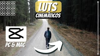 LUTS CINEMÁTICOS 👀  CORRECCIÓN de COLOR en CAPCUT Computadora  PACK DE REGALO 🎁 [upl. by Ydnolem409]