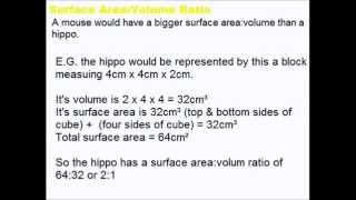 Gas Exchange  A Level AS Biology Revision [upl. by Hamehseer294]