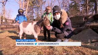 Learn and play with the friendliest animals at the Greenburgh Nature Center [upl. by Anahoj]