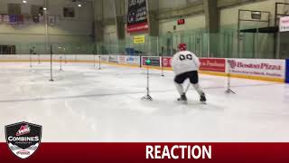 WHL Combine Reaction [upl. by Gilberta383]