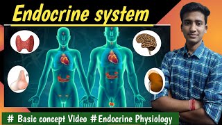 Introduction to Endocrinology Endocrine Physiology  in hindi Ashish Agrawal [upl. by Enineg314]