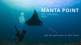 Diving at Manta Point Bali  Indonesia 2024 [upl. by Aynatahs174]