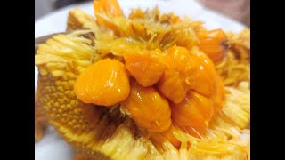 Amazing Wild Jackfruit [upl. by Itin417]