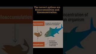 Question of The Day  Bioaccumulation  Shivangi Gautam shorts upsccse [upl. by Ahscrop]