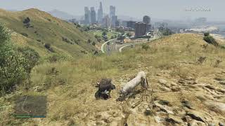 GTA V marabunta grande gets eaten by a cougar [upl. by Ailelc644]