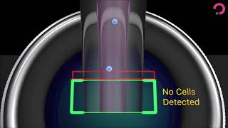 How to isolate single cells with cellenONE from cellenion [upl. by Ramin]