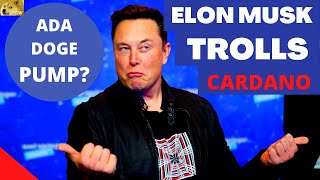 Elon Musk TROLLS Cardano Cardano Price Prediction ADA Mary Update [upl. by Hillegass]