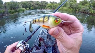 Explosive Action With The Whopper Plopper [upl. by Rizzi53]