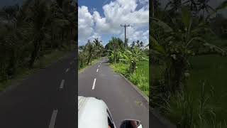 Trip started Bali Indonesia nature view travel nature trip explore bali [upl. by Jezabelle]