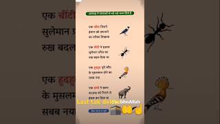 1 janwar ne insan ko dafnane 😭☝️🤲islamicstatus islamicvideo viralvideo shortvideo [upl. by Sonitnatsnoc]