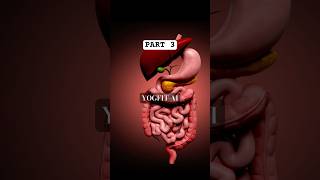 TOP 10 Foods For Healthy Liver liver liverdetoxification facts top10foods [upl. by Ewan]