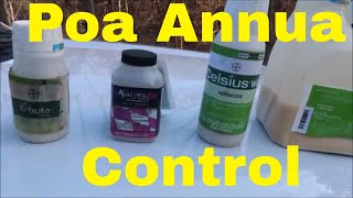 Weed Control Tips for Poa Annua Control [upl. by Dogs143]