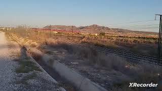 Trenes por Novelda y cerca de Monforte del Cid [upl. by Leahkim]