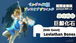 【NS】薩爾達傳說曠野之息迷你挑戰巨鯨化石獲得金盧比The Legend of Zelda BotW Side Quest Leviathan Bones [upl. by Urbanna]